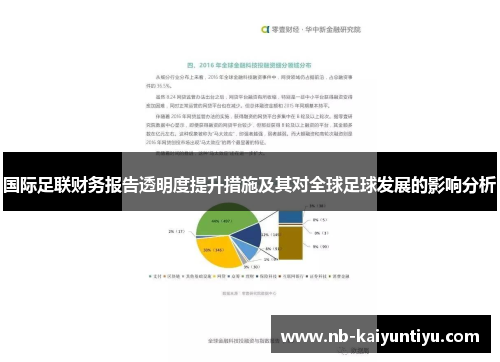 国际足联财务报告透明度提升措施及其对全球足球发展的影响分析