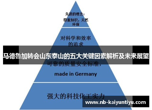 马德鲁加转会山东泰山的五大关键因素解析及未来展望
