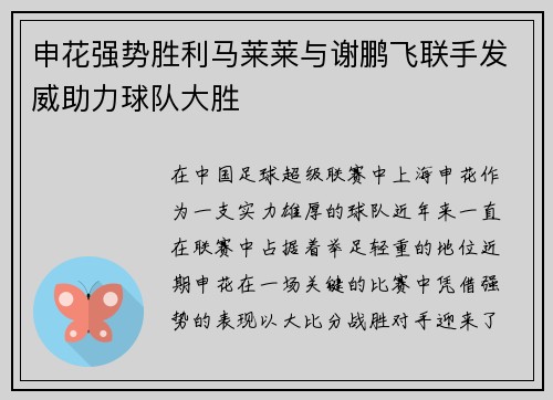 申花强势胜利马莱莱与谢鹏飞联手发威助力球队大胜