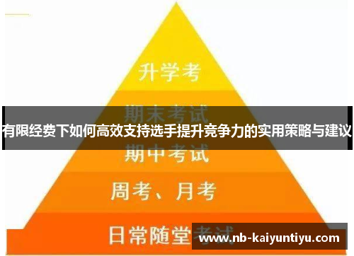 有限经费下如何高效支持选手提升竞争力的实用策略与建议